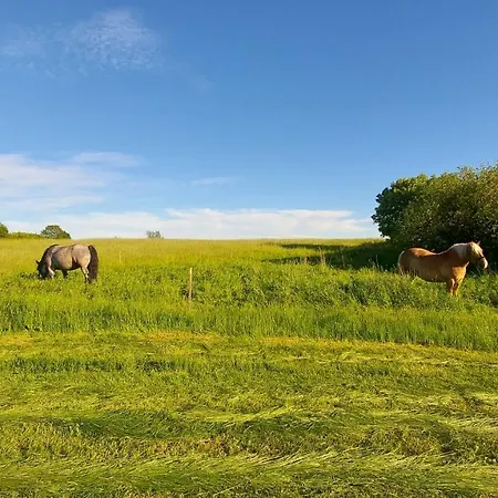 אכסניה Dogs Welcome! Na Zacisznej *