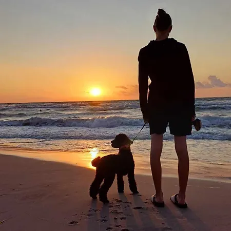 Dogs Welcome! Na Zacisznej *