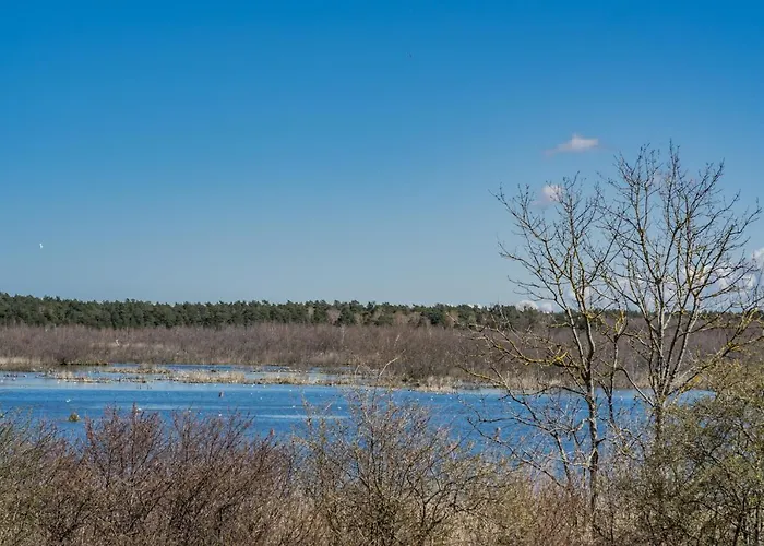 Dogs Welcome! Na Zacisznej *