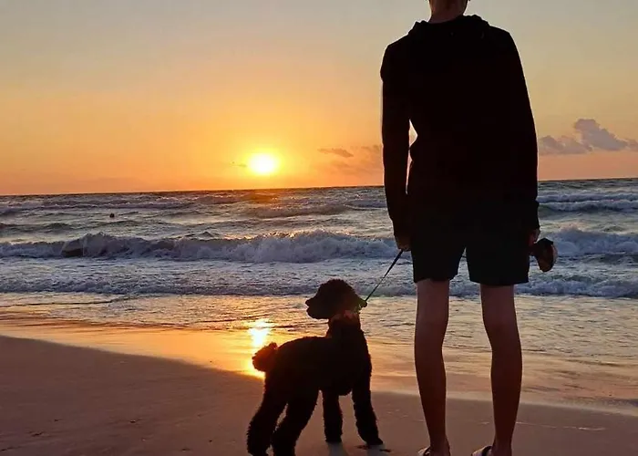 Dogs Welcome! Na Zacisznej *